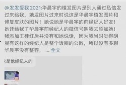 锤子娱乐爆料视频大全集,揭秘娱乐圈幕后风云