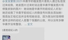 锤子娱乐爆料视频大全集,揭秘娱乐圈幕后风云
