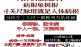 央视新闻爆料魏氏脉道一针通,魏氏脉道一针通神奇疗效背后的真相