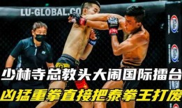 教头大爆料视频,内幕故事与独家视角