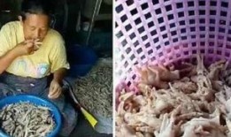 新闻爆料凤爪是真的吗视频,凤爪视频爆料，究竟是真的还是假的？