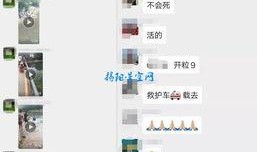 爆料小孩溺水事件视频