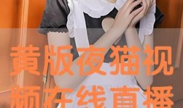 夜猫视频在线观看,深夜时光的视听盛宴