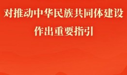 新闻共同体爆料案例分析,揭秘舆论监督的力量与挑战