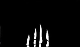 上帝塞伦盖蒂在线观看,在线探索非洲草原的奇迹