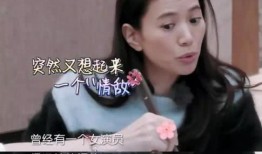 娱乐圈最大爆料人是谁,揭秘幕后真相，揭秘者身份成谜
